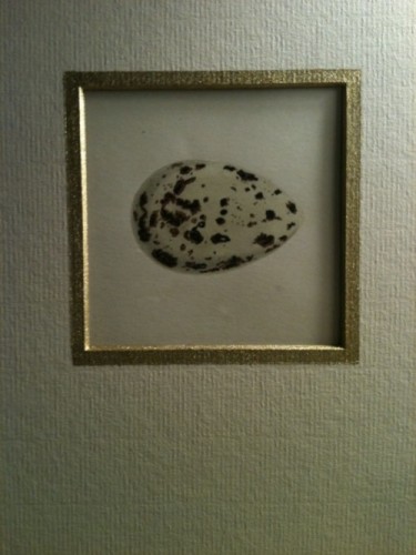 egg