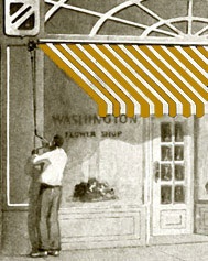 yellow stripe