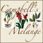 Campbelles Melange