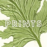 Antique prints