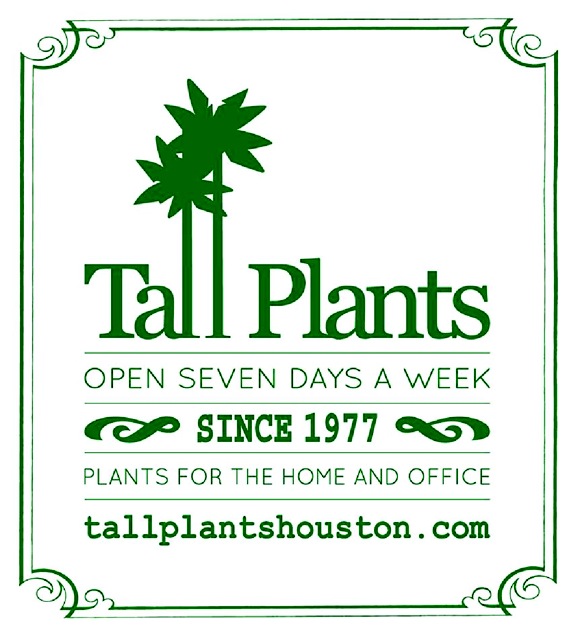 Tall Plants Houston